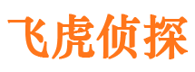 新会私家调查公司